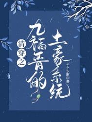 清穿之九福晋的土豪系统下载