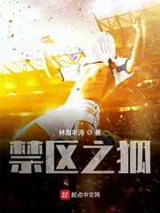 禁区之狐和冠军之心